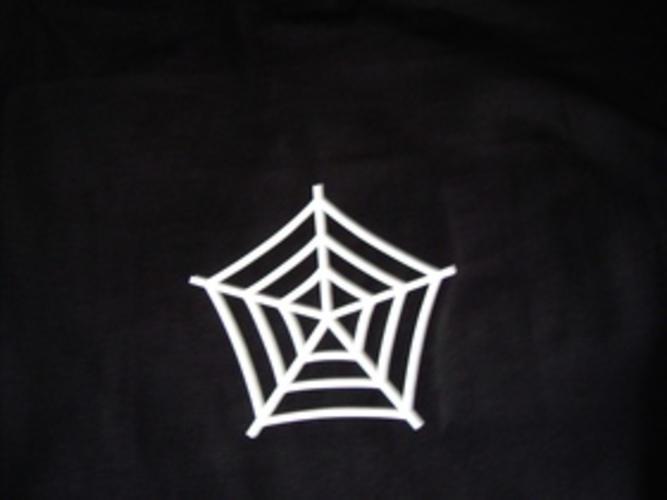 Spiders Web