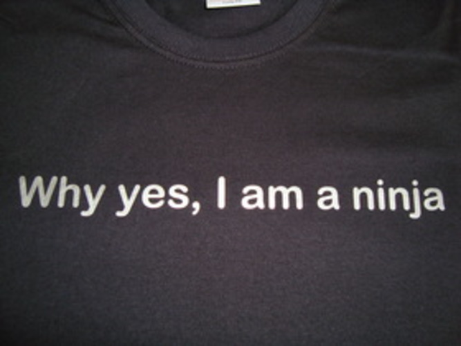 Why Yes, I Am A Ninja