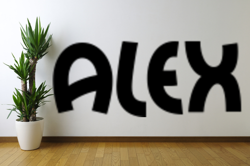 Alex Text Removable Wall ART Decal | eBay