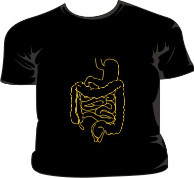 Digestive System