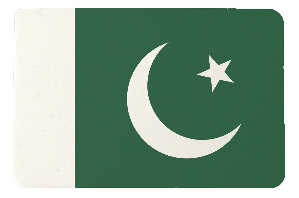 pakistan flag fridge magnet